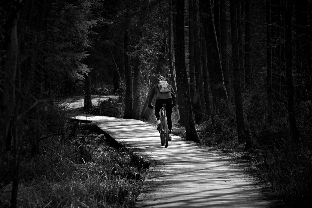 cyclist, park, bike path-7084727.jpg